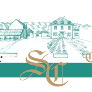 Mosel mein lieber - degustazione di riesling