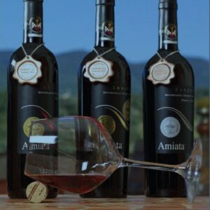 I VINI DEL VULCANO