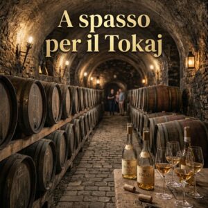 A spasso per il Tokaj